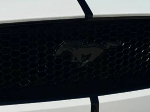 Close-up of the 2021 Ford Mustang GT front grille with gloss black pony emblem.