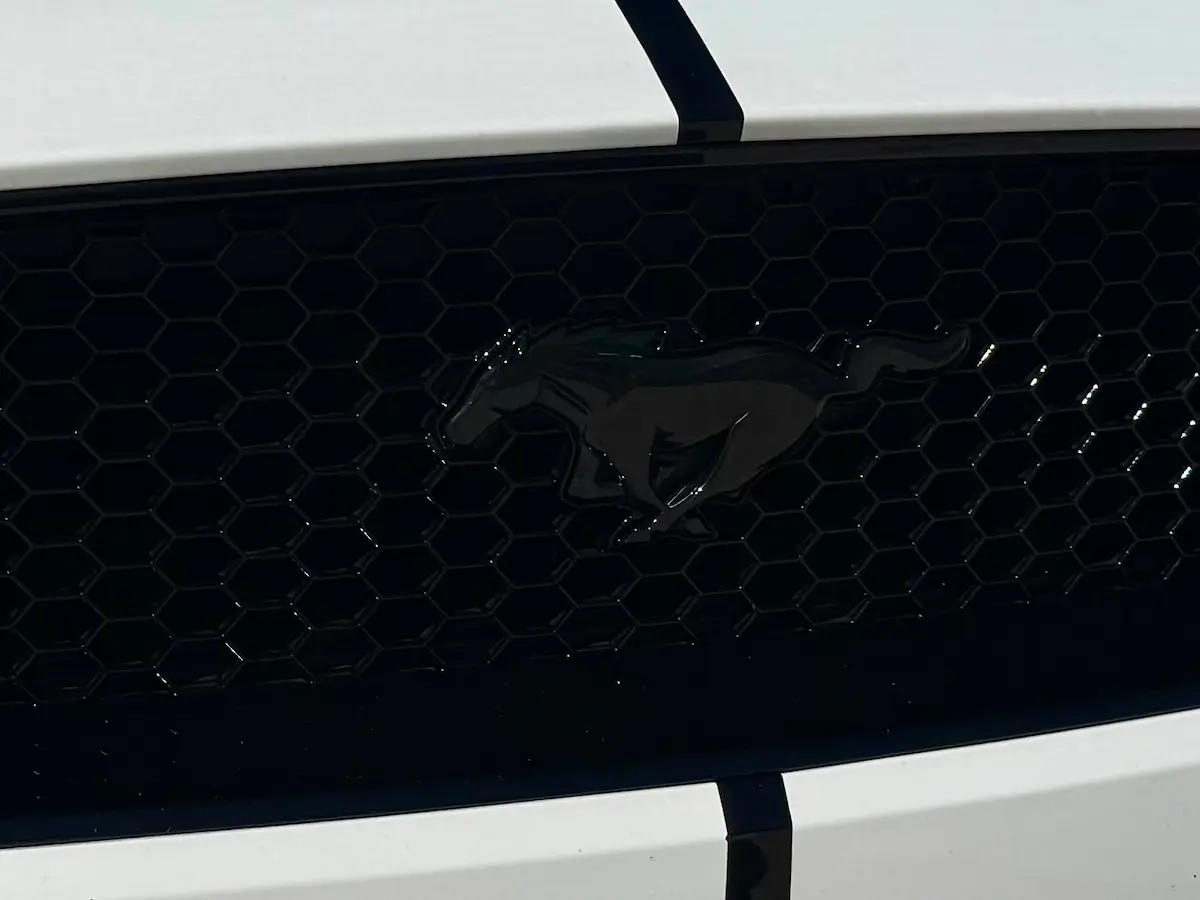 Close-up of the 2021 Ford Mustang GT front grille with gloss black pony emblem.