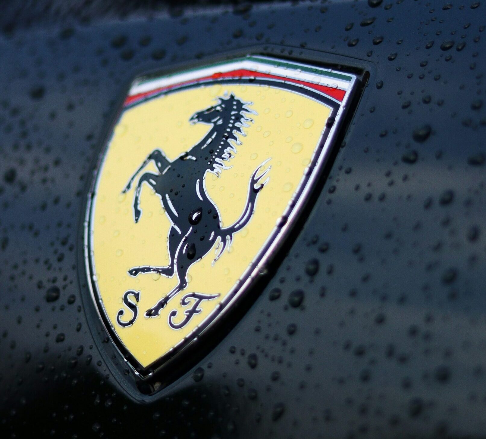 Close-up photo of a yellow prancing horse emblem on a black background. The emblem has a shield shape with the letters "SF" at the top.