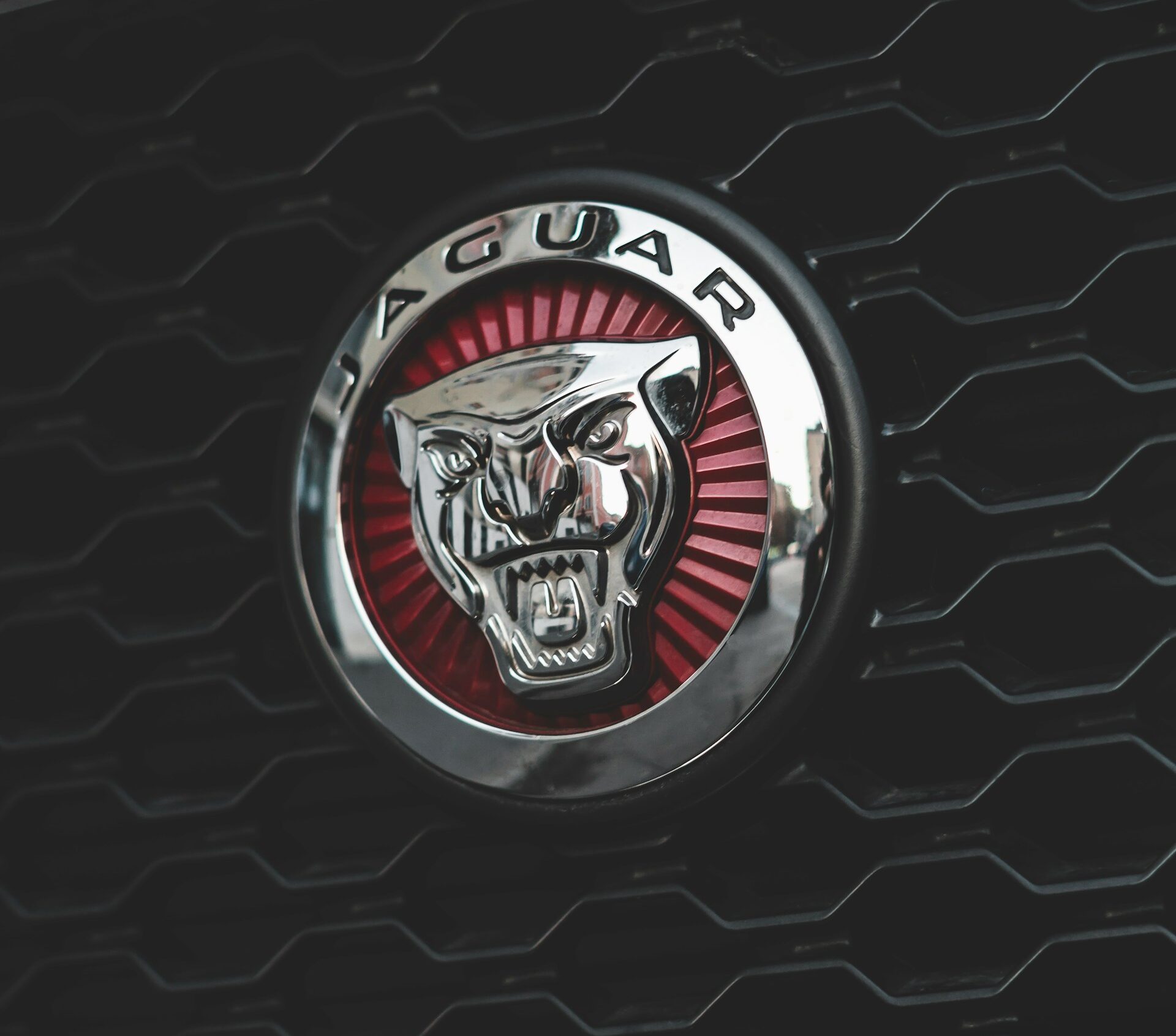 Close-up of a silver Jaguar emblem on the grille of a car.